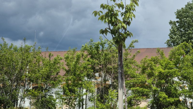 Mare atenție! Județul Dâmbovița este sub informare meteo de vânt puternic, ploi, grindină și frig