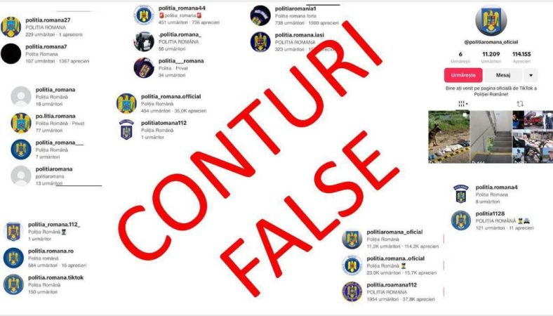 MAI: Peste 160 de conturi TikTok eliminate pentru folosirea ilegală a însemnelor Poliției Române