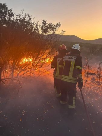 Focul nu iartă, iar un singur gest neglijent poate distruge vieți, case și natura. Focul nu iartă, iar un singur gest neglijent poate distruge vieți, case și natura.