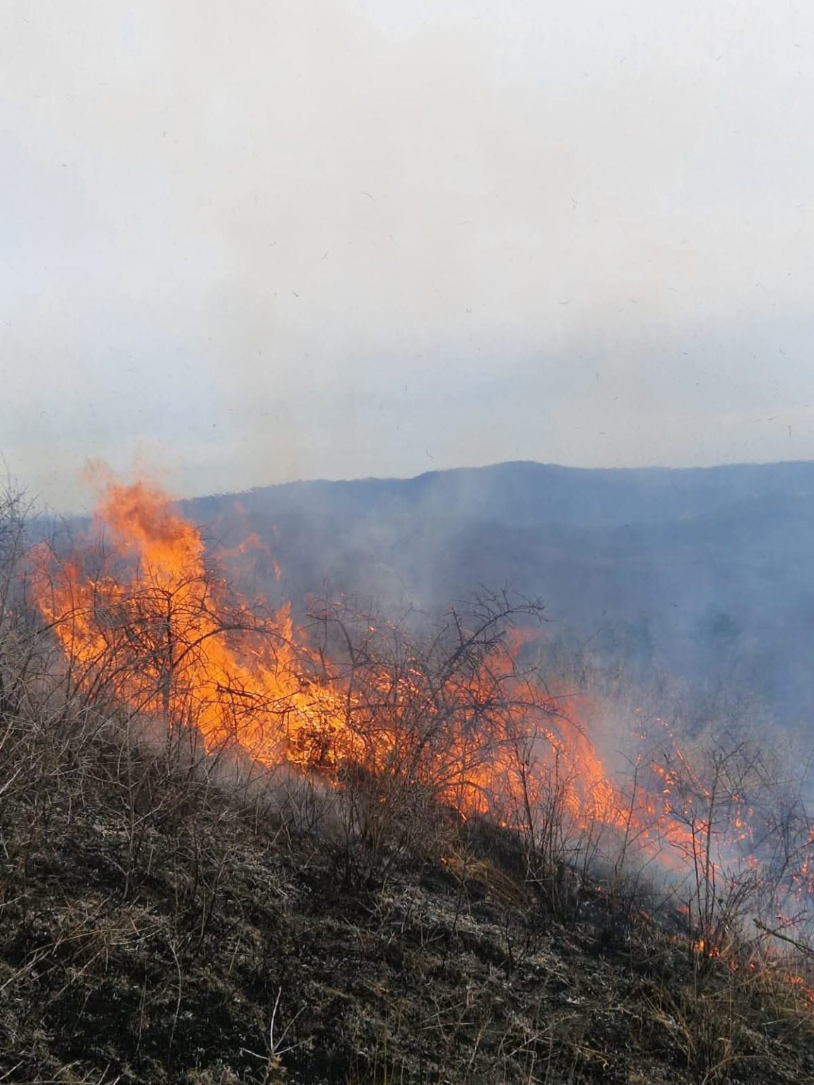 Incendiu de vegetație uscată la Ocnița,  intervenție rapidă a pompierilor  Incendiu de vegetație uscată la Ocnița,  intervenție rapidă a pompierilor