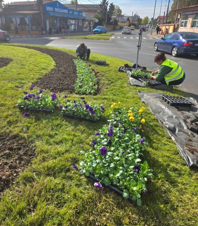 Târgoviște, orașul care înflorește și toamna