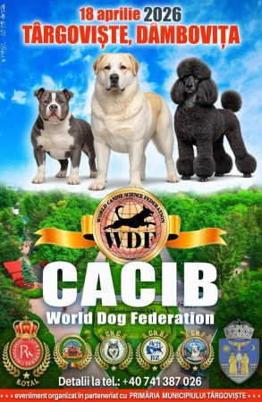Expoziție internațională de câini și târg de adopții în Parcul Chindia 