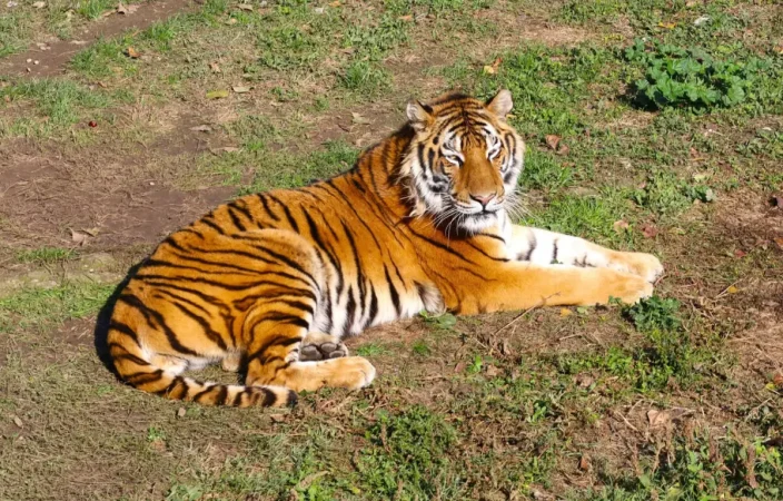 Grădina Zoologică din Târgoviște invită vizitatorii să petreacă timp de calitate în mijlocul naturii și al animalelor fascinante