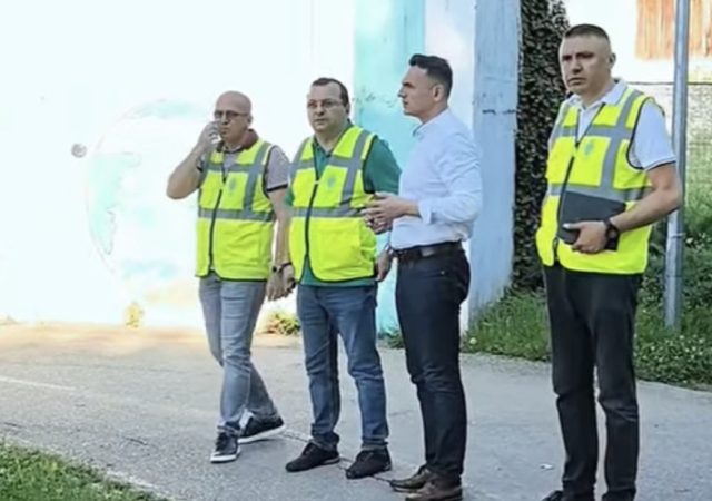 Sterilizare gratuită pentru câini și pisici, la Târgoviște! Primăria dă startul înscrierilor