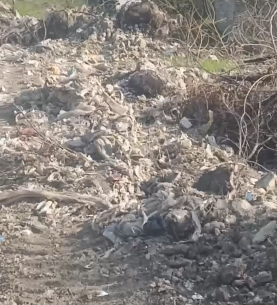 FURTUNA CONTROALELOR ÎN DÂMBOVIȚA!
