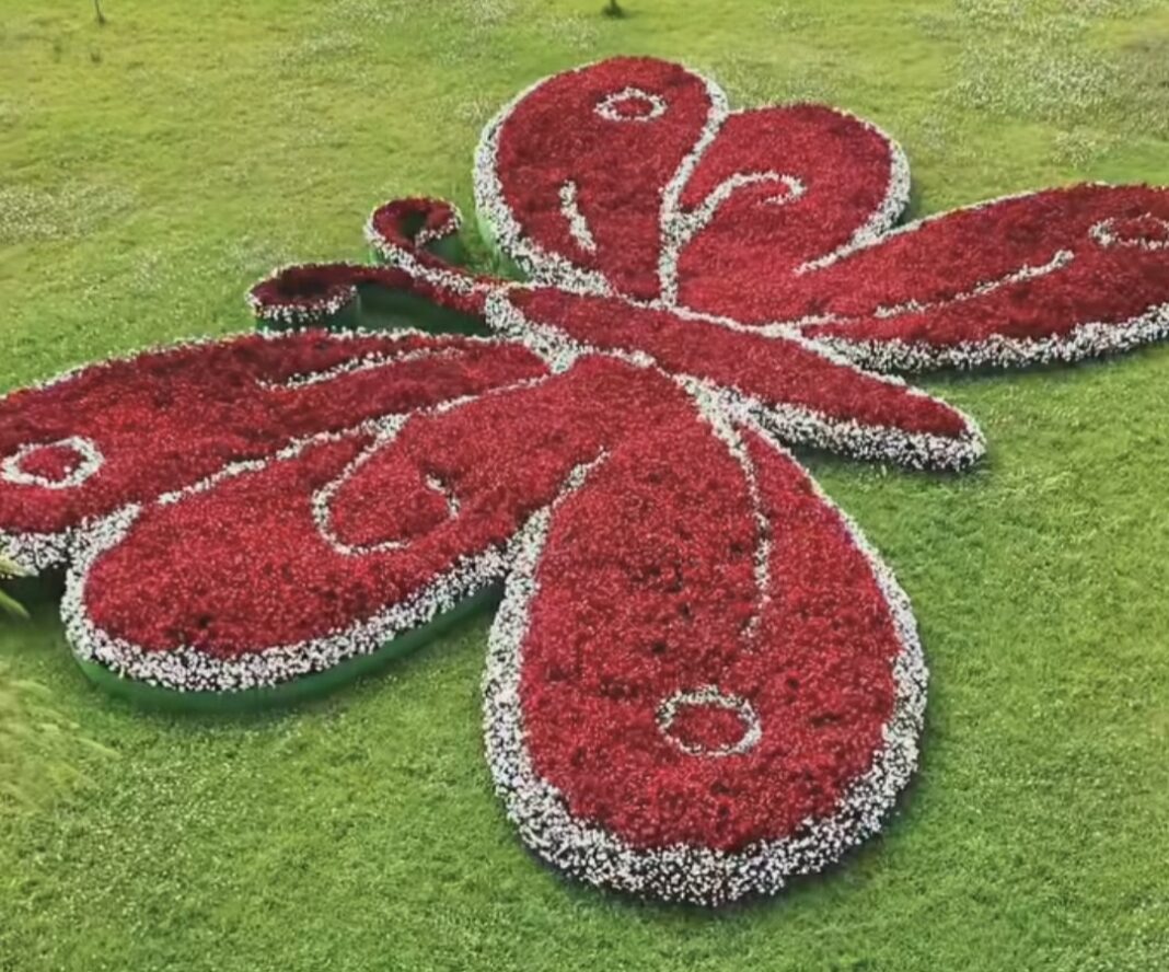 Fluturele floral devine noul punct de atracție din parcul Complexului Turistic de Natație din Târgoviște!