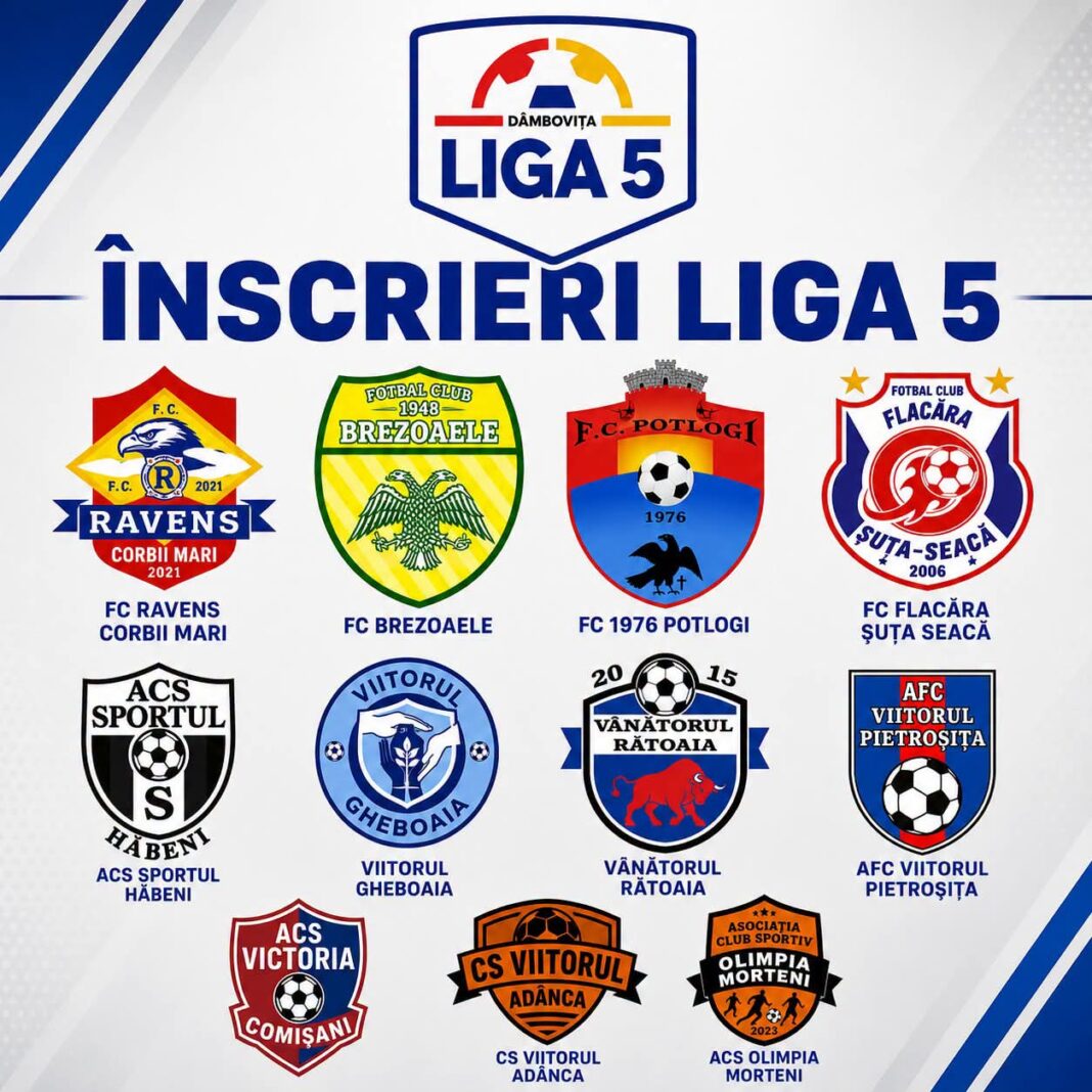 Liga 5 Dâmbovița