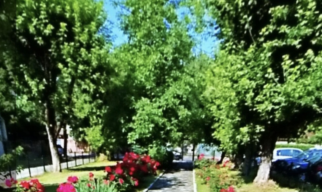 Program special de vizitare la Muzeul „Vasile Blendea” din Târgoviște