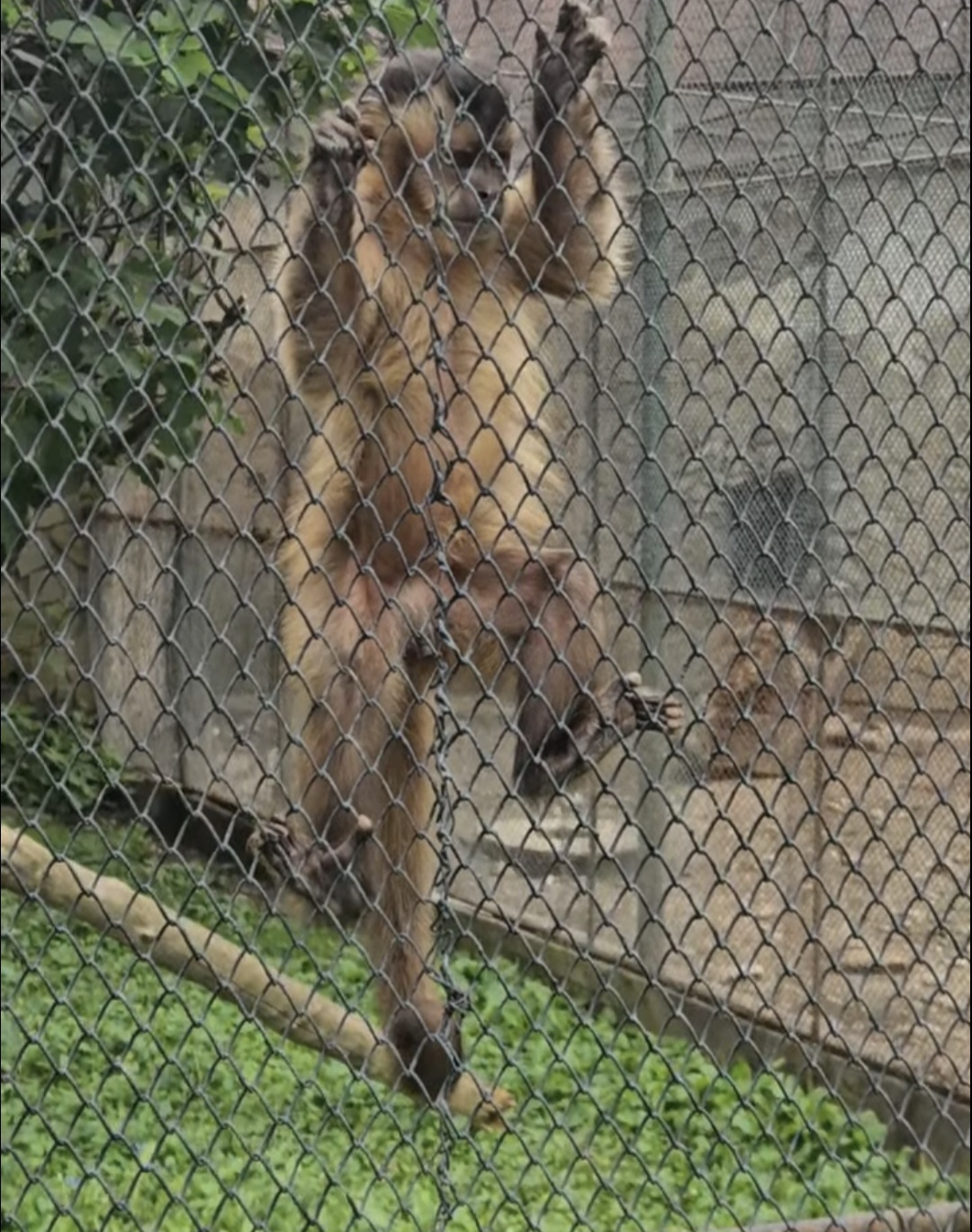 Zoo Târgoviște, locul ideal pentru o zi de vacanță