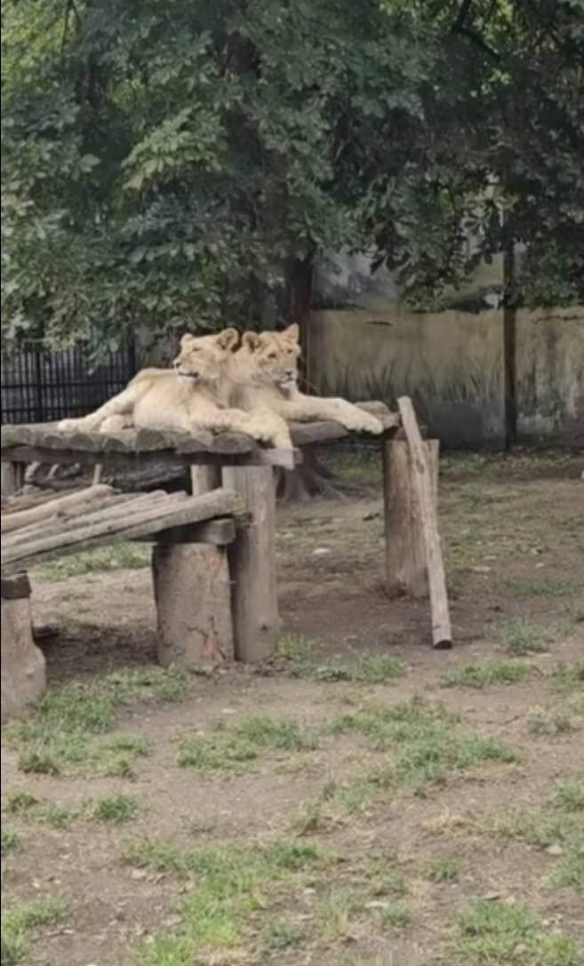 Zoo Târgoviște
