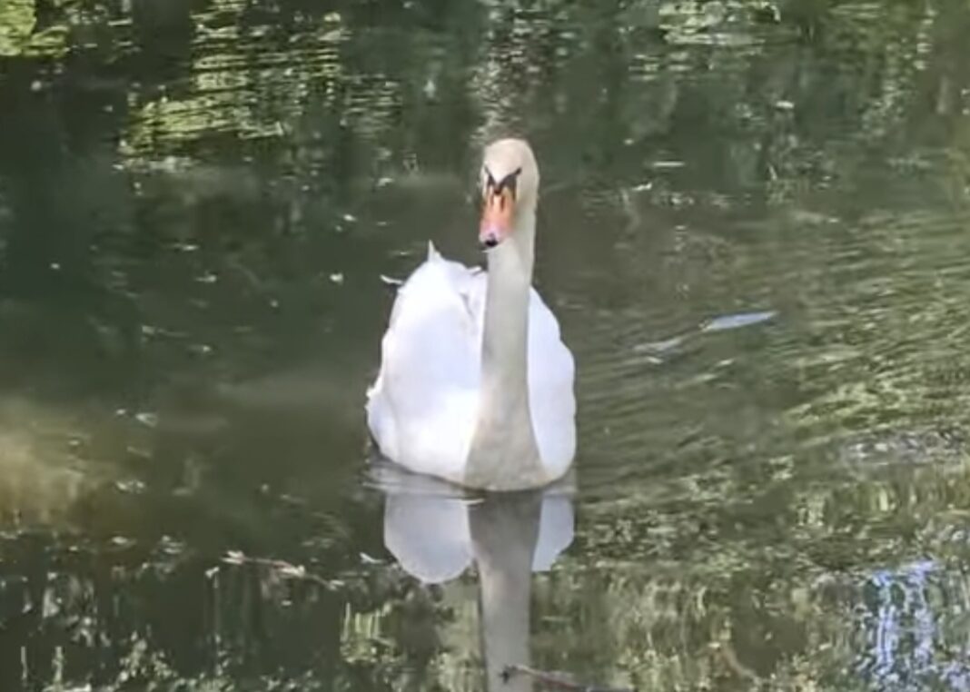Zoo Târgoviște