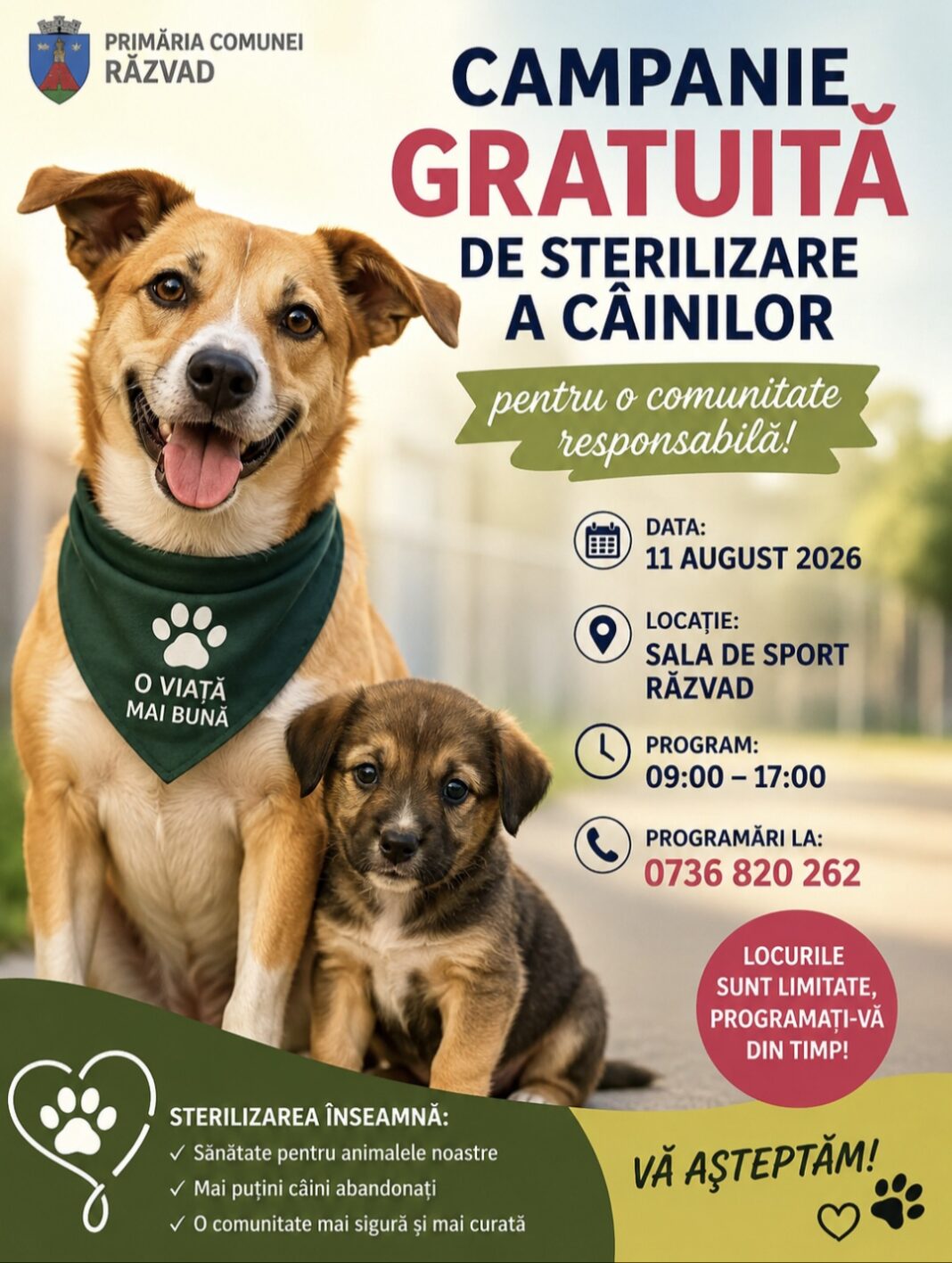  STERILIZARE GRATUITĂ PENTRU CÂINII DIN RĂZVAD! O NOUĂ CAMPANIE PENTRU O COMUNITATE RESPONSABILĂ 